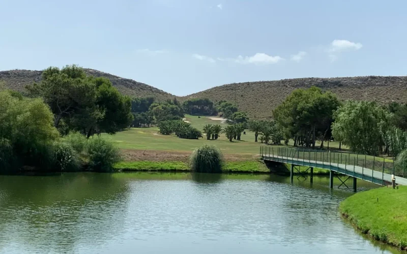 El Plantio Golf Course Calendar All Games 2025 Inbetweeners Golf Societyat El Plantio Golf Course Calendar All Games 2025