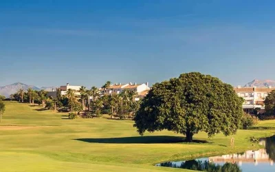 Alicante Golf Course Calendar All Games 2025