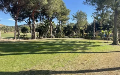 El Plantio Golf Course Calendar All Games 2025