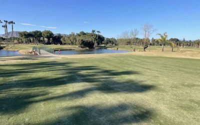 Inbetweeners Golf Society at El Plantio