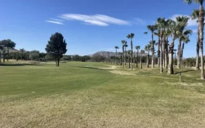 El Plantio Golf Course Inbetweeners golf Society