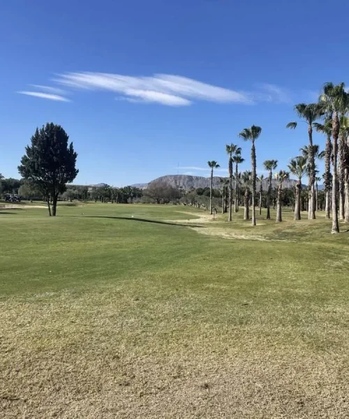 Bonalba Golf Course