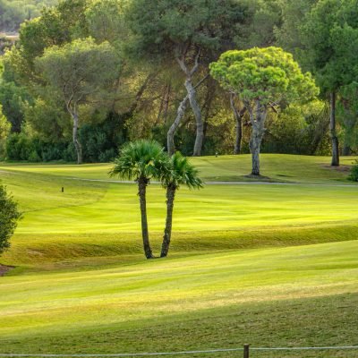 Las Ramblas Golf Course