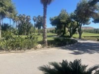 El Plantio Golf Course Inbetweeners Golf Society
